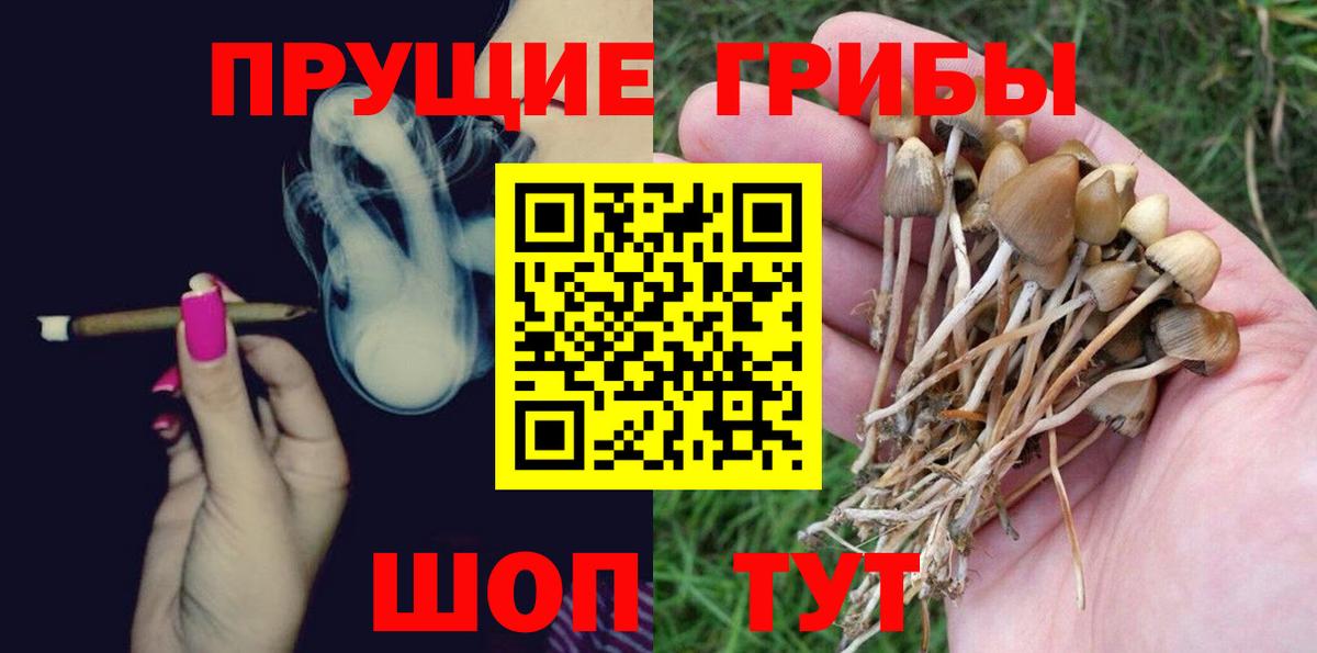 Галлюциногенные грибы Cubensis  Вход с VPN  Псилоцибиновые грибы Psilocybe  Гудермес 
