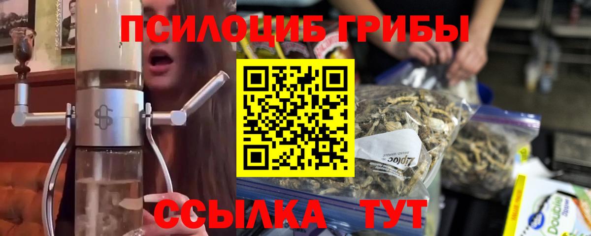 Галлюциногенные грибы Magic Shrooms Гудермес